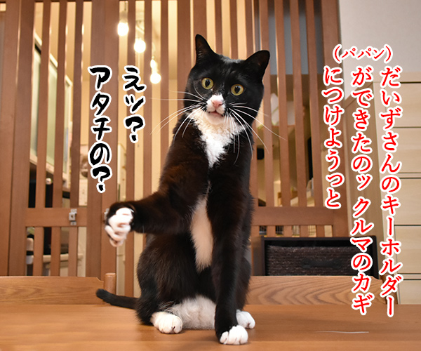 だいずさんのキーホルダーができたのよッ　猫の写真で４コマ漫画　１コマ目ッ