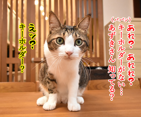 だいずさんのキーホルダーができたのよッ　猫の写真で４コマ漫画　３コマ目ッ