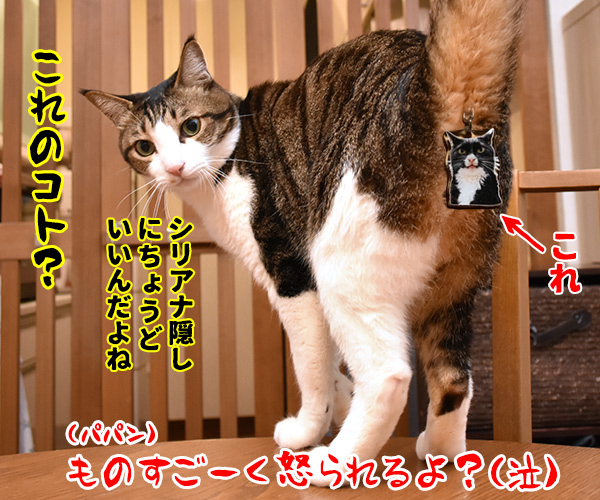 だいずさんのキーホルダーができたのよッ　猫の写真で４コマ漫画　４コマ目ッ