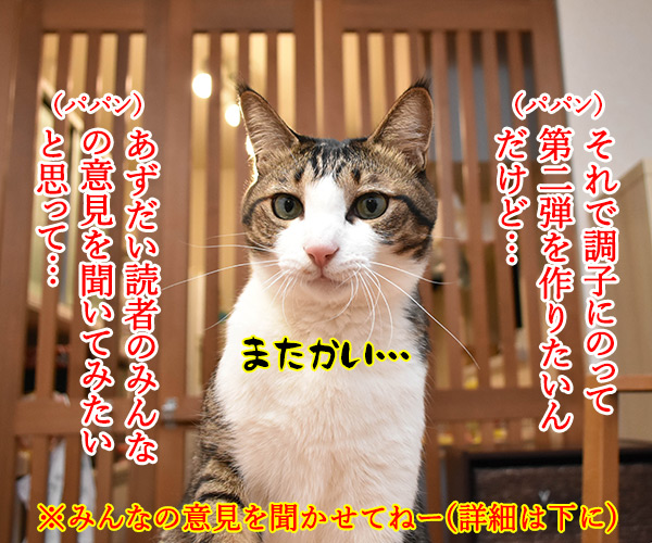 あずだいのLINEスタンプ 第二弾　猫の写真で４コマ漫画　２コマ目ッ