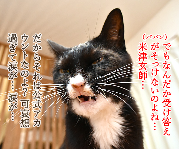 あずだいのLINEスタンプ 第二弾　猫の写真で４コマ漫画　４コマ目ッ