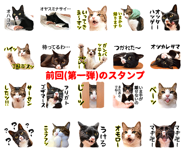 あずだいのLINEスタンプ 第二弾　猫の写真で４コマ漫画　６コマ目ッ