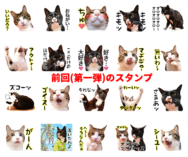 あずだいのLINEスタンプ 第二弾　猫の写真で４コマ漫画　６コマ目ッ