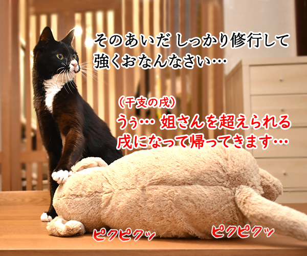 干支の戌も今日で終わりなのッ　猫の写真で４コマ漫画　３コマ目ッ