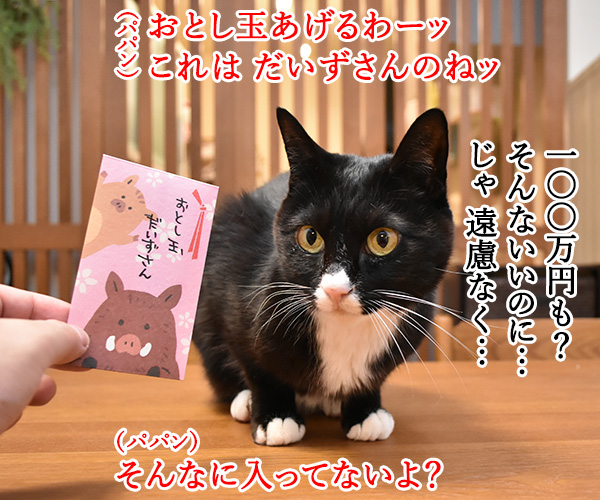 おとし玉あげるねッ　猫の写真で４コマ漫画　１コマ目ッ