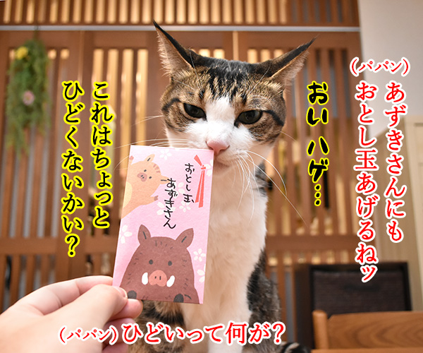 おとし玉あげるねッ　猫の写真で４コマ漫画　２コマ目ッ