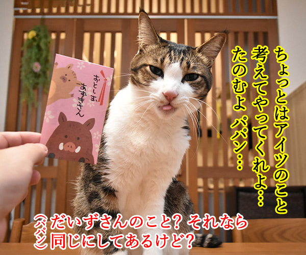 おとし玉あげるねッ　猫の写真で４コマ漫画　３コマ目ッ