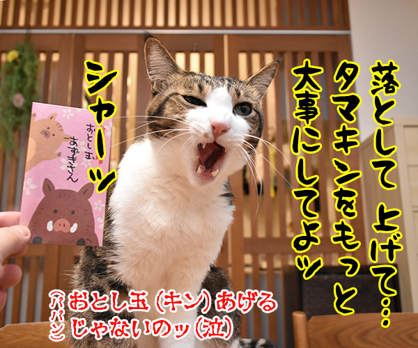 おとし玉あげるねッ　猫の写真で４コマ漫画　４コマ目ッ