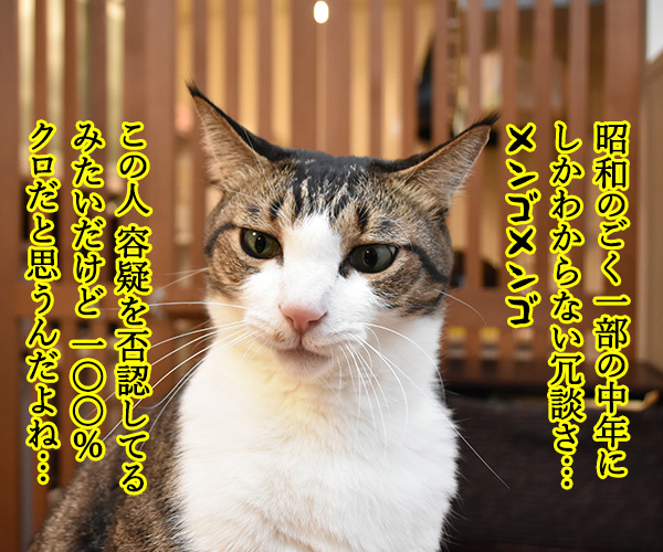 金融商品取引法違反の疑いで逮捕されたカルロスと言えば？　猫の写真で４コマ漫画　２コマ目ッ