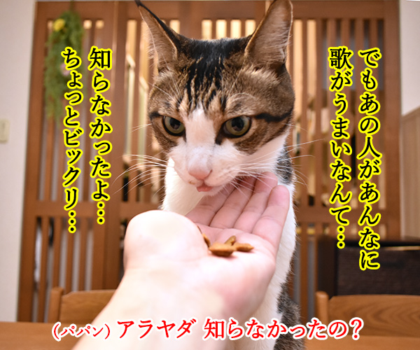 紅白の米津玄師はよかったわねッ　猫の写真で４コマ漫画　３コマ目ッ