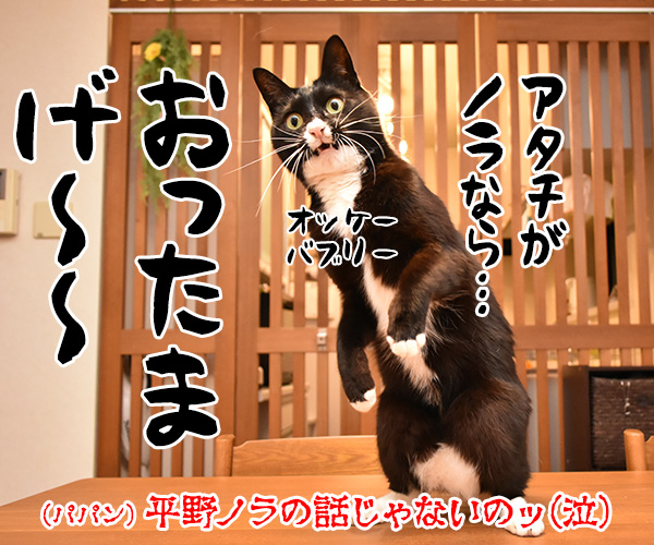 室内飼いの猫さんが のら猫になったら？　猫の写真で４コマ漫画　４コマ目ッ