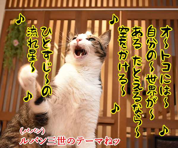 ルパンの曲といえばやっぱりこの曲よねッ　猫の写真で４コマ漫画　３コマ目ッ