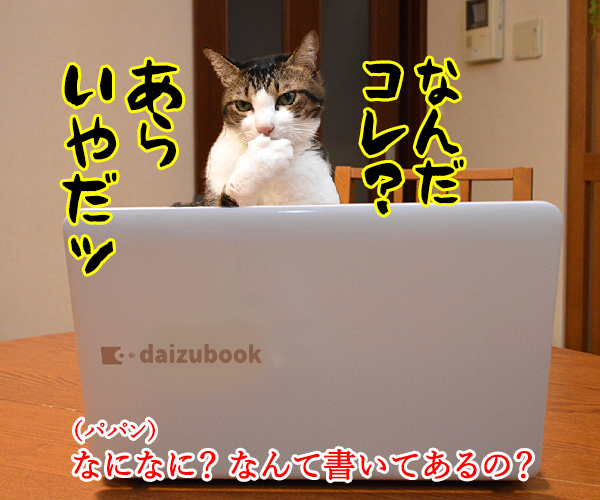 嵐が2020年いっぱいで活動休止なんですってッ　猫の写真で４コマ漫画　３コマ目ッ