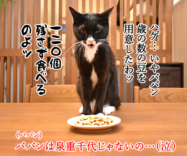 今日は節分だから歳の数だけ豆を食べるのよッ　猫の写真で４コマ漫画　２コマ目ッ