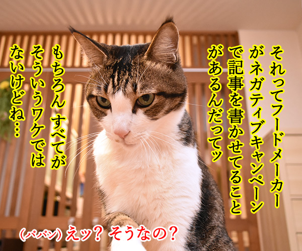 キャットフードを選ぶのは…？　猫の写真で４コマ漫画　２コマ目ッ