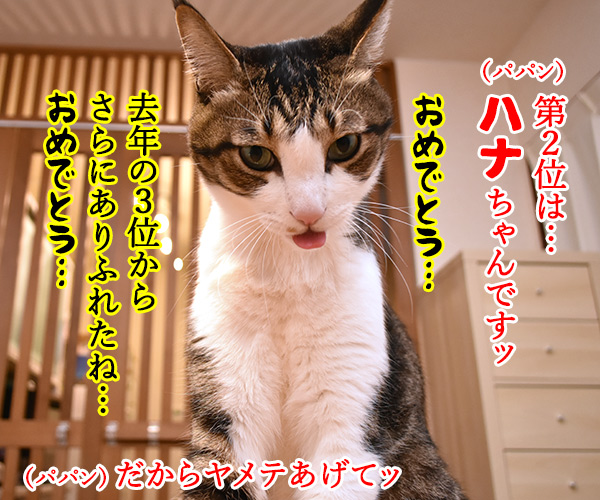 猫の名前ランキング大調査2019 結果発表！　猫の写真で４コマ漫画　２コマ目ッ