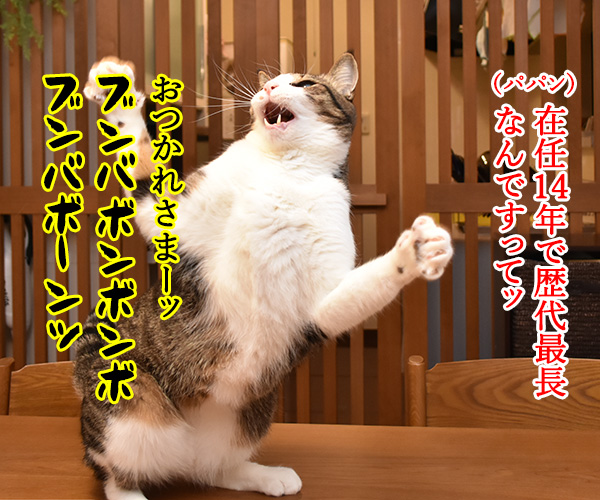 「おかあさんといっしょ」のよしお兄さんが３月末で卒業なんですってッ　猫の写真で４コマ漫画　２コマ目ッ