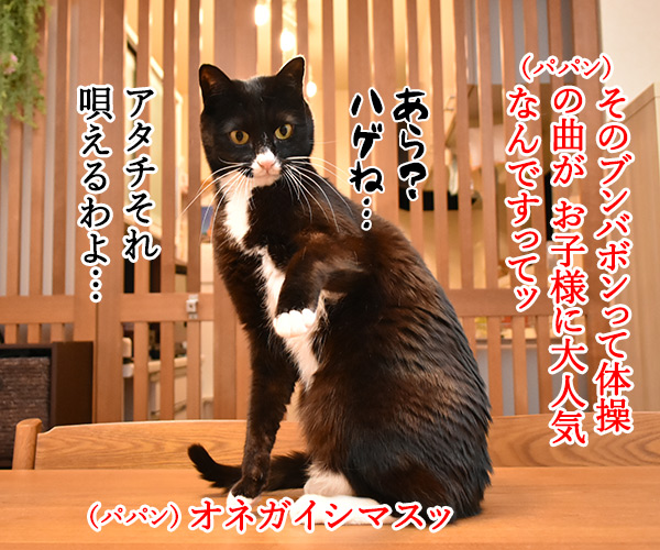 「おかあさんといっしょ」のよしお兄さんが３月末で卒業なんですってッ　猫の写真で４コマ漫画　３コマ目ッ