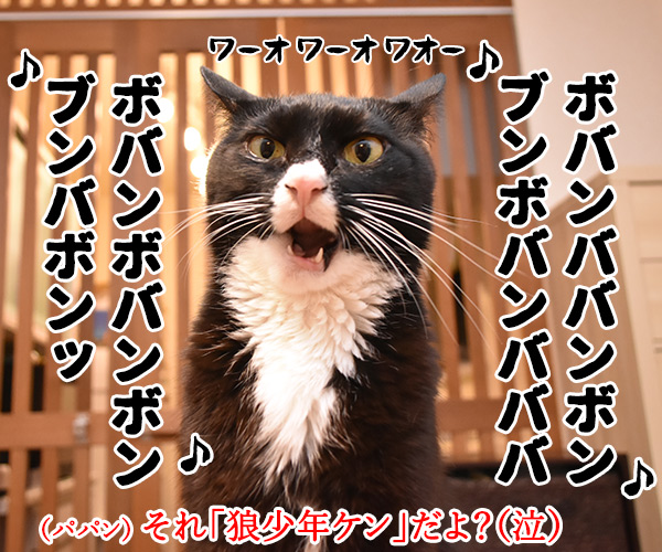 「おかあさんといっしょ」のよしお兄さんが３月末で卒業なんですってッ　猫の写真で４コマ漫画　４コマ目ッ