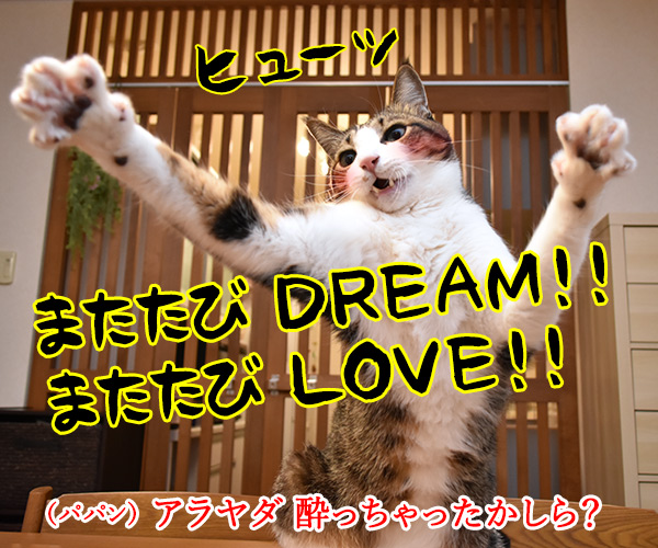 またたび LOVE　猫の写真で４コマ漫画　２コマ目ッ