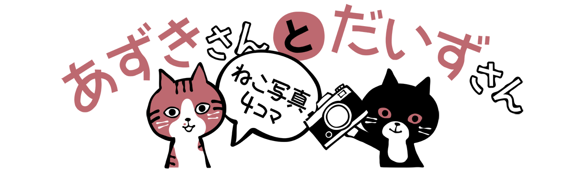 ねこ写真４コマ あずきさんとだいずさん