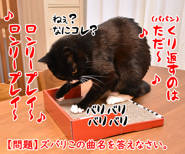 ピアノに問いかけてみて？　猫の写真で４コマ漫画　４コマ目ッ