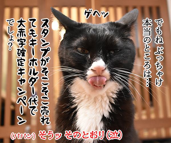 皆様に感謝の気持ちを込めて… キャンペーン第2弾なのよッ　猫の写真で４コマ漫画　４コマ目ッ