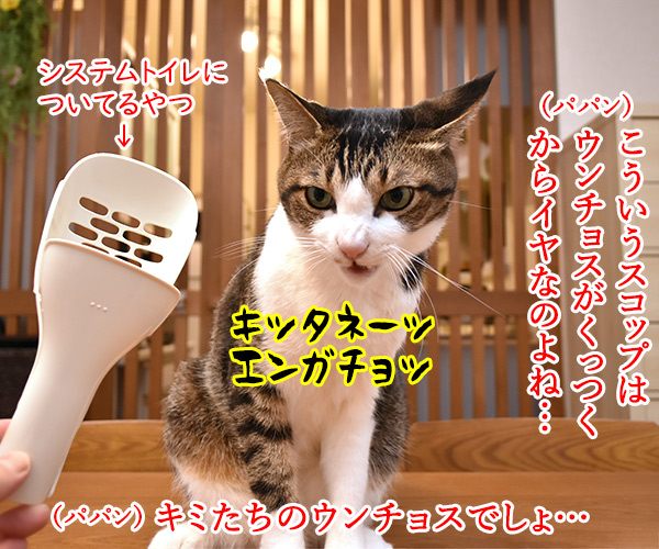 みんなウンチョスはどうやって片づけてるの？　猫の写真で４コマ漫画　２コマ目ッ