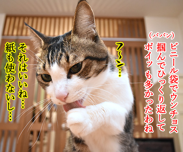 ウンチョスの片づけ方にたくさんコメントいただいたのッ　猫の写真で４コマ漫画　３コマ目ッ