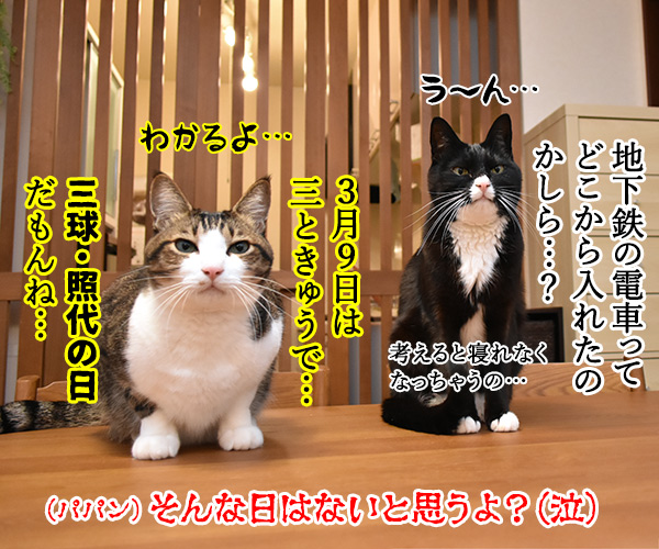 3月9日だから考え事しちゃうの…　猫の写真で４コマ漫画　４コマ目ッ