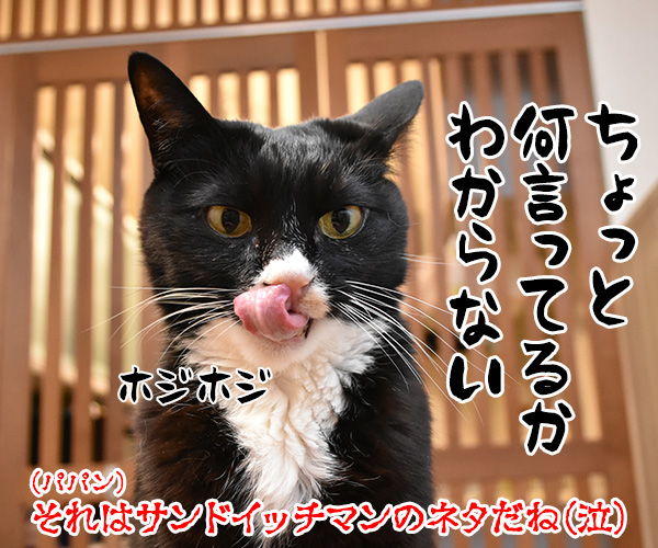 きょうはサンドイッチの日なんですってッ　猫の写真で４コマ漫画　４コマ目ッ