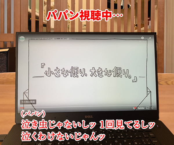 花王「ニャンとも清潔トイレ」のWEB動画が広告賞を受賞したんですってッ　猫の写真で４コマ漫画　３コマ目ッ