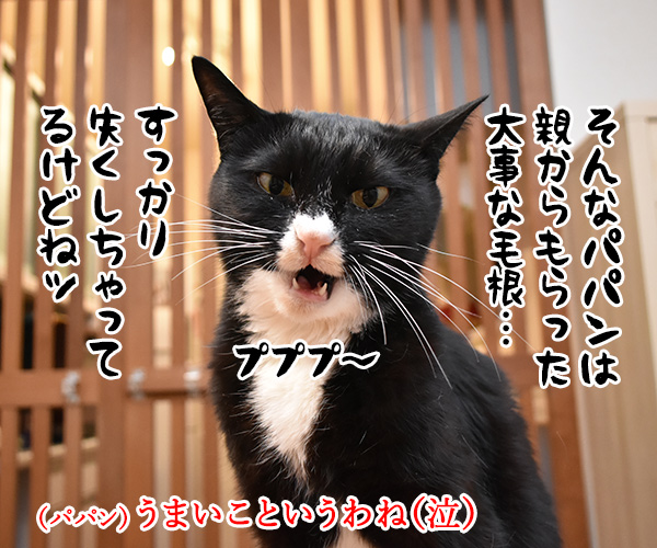 親からもらった大事な…　猫の写真で４コマ漫画　２コマ目ッ