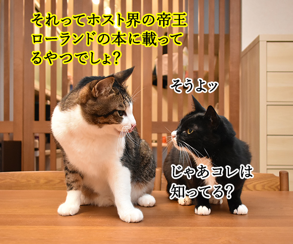 親からもらった大事な…　猫の写真で４コマ漫画　３コマ目ッ