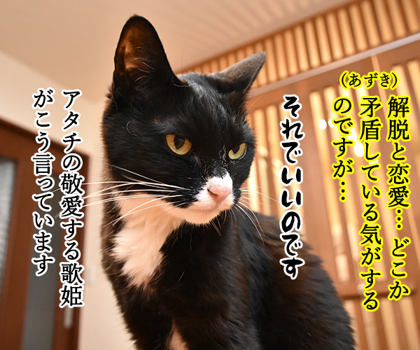 恋愛のカリスマ　杉本だいず先生の恋愛講座　其の二　猫の写真で４コマ漫画　３コマ目ッ