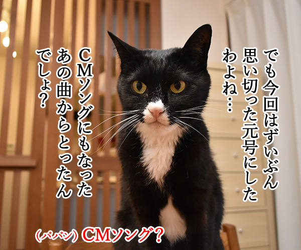 新元号は信玄ＧＯなの？　猫の写真で４コマ漫画　３コマ目ッ