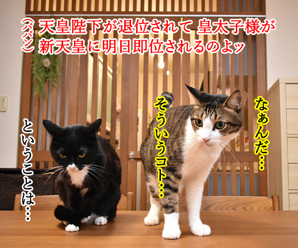 きょうは退位の日なんですってッ　猫の写真で４コマ漫画　３コマ目ッ