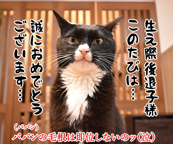 きょうは退位の日なんですってッ　猫の写真で４コマ漫画　４コマ目ッ