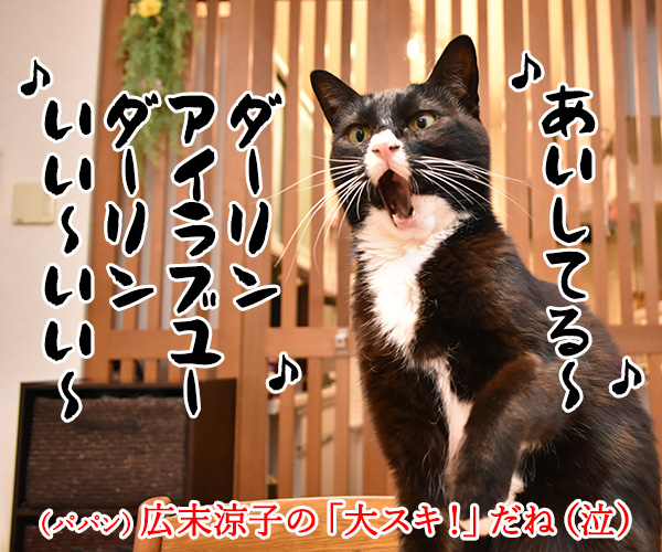 「好き」って10回言ってみてッ 其の二　猫の写真で４コマ漫画　４コマ目ッ