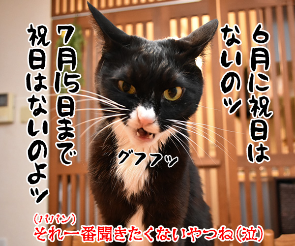 GWが終わっちゃったのよッ　猫の写真で４コマ漫画　４コマ目ッ