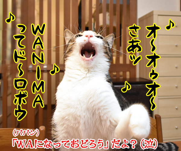 WANIMAってバンド 知ってる？　猫の写真で４コマ漫画　４コマ目ッ