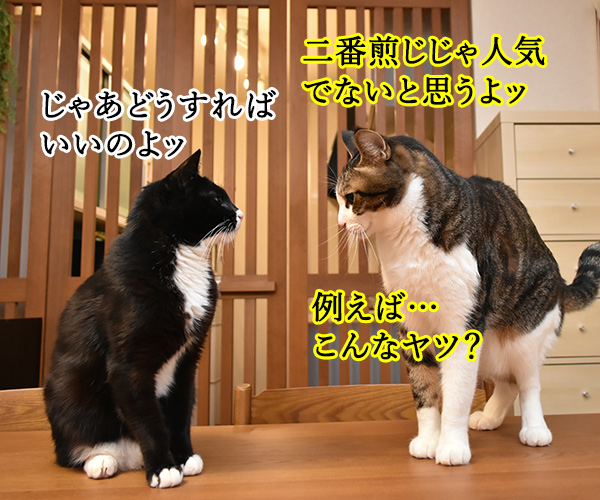 不機嫌な猫『グランピー・キャット』が亡くなったんですってッ　猫の写真で４コマ漫画　３コマ目ッ