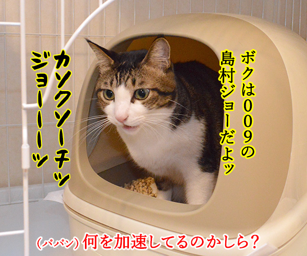 サイボーグ009ごっこするよーッ　猫の写真で４コマ漫画　２コマ目ッ