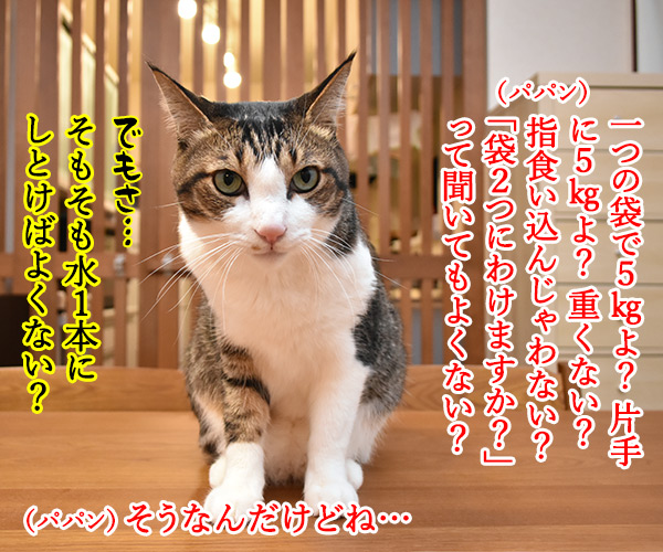 コンビニの袋詰めの話なのよッ　猫の写真で４コマ漫画　２コマ目ッ