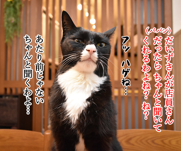 コンビニの袋詰めの話なのよッ　猫の写真で４コマ漫画　３コマ目ッ