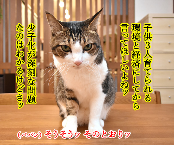 『子供最低３人くらい産むように』で大炎上なのッ　猫の写真で４コマ漫画　２コマ目ッ