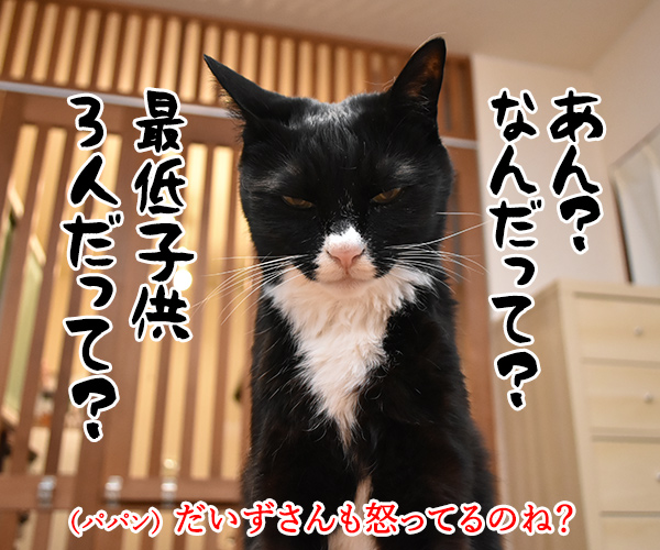 『子供最低３人くらい産むように』で大炎上なのッ　猫の写真で４コマ漫画　３コマ目ッ