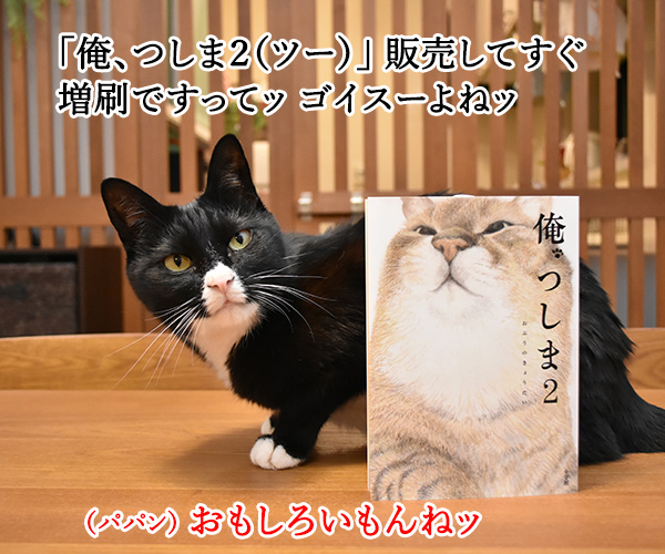 『俺、つしま２（ツー）』の2巻が出たのよッ　猫の写真で４コマ漫画　２コマ目ッ