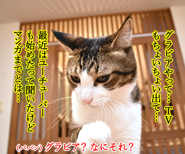 『俺、つしま２（ツー）』の2巻が出たのよッ　猫の写真で４コマ漫画　３コマ目ッ