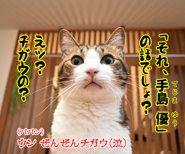 『俺、つしま２（ツー）』の2巻が出たのよッ　猫の写真で４コマ漫画　４コマ目ッ